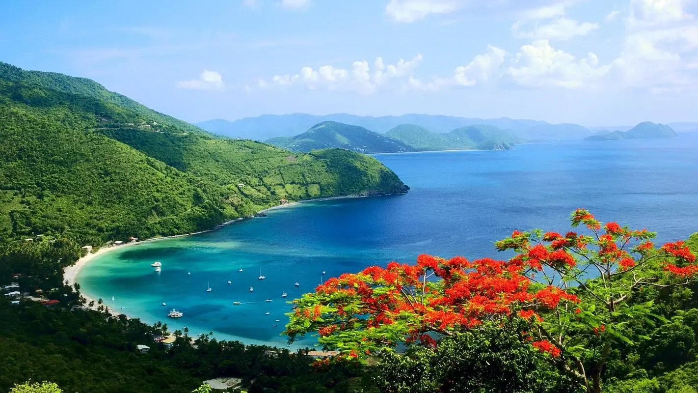 创意高效